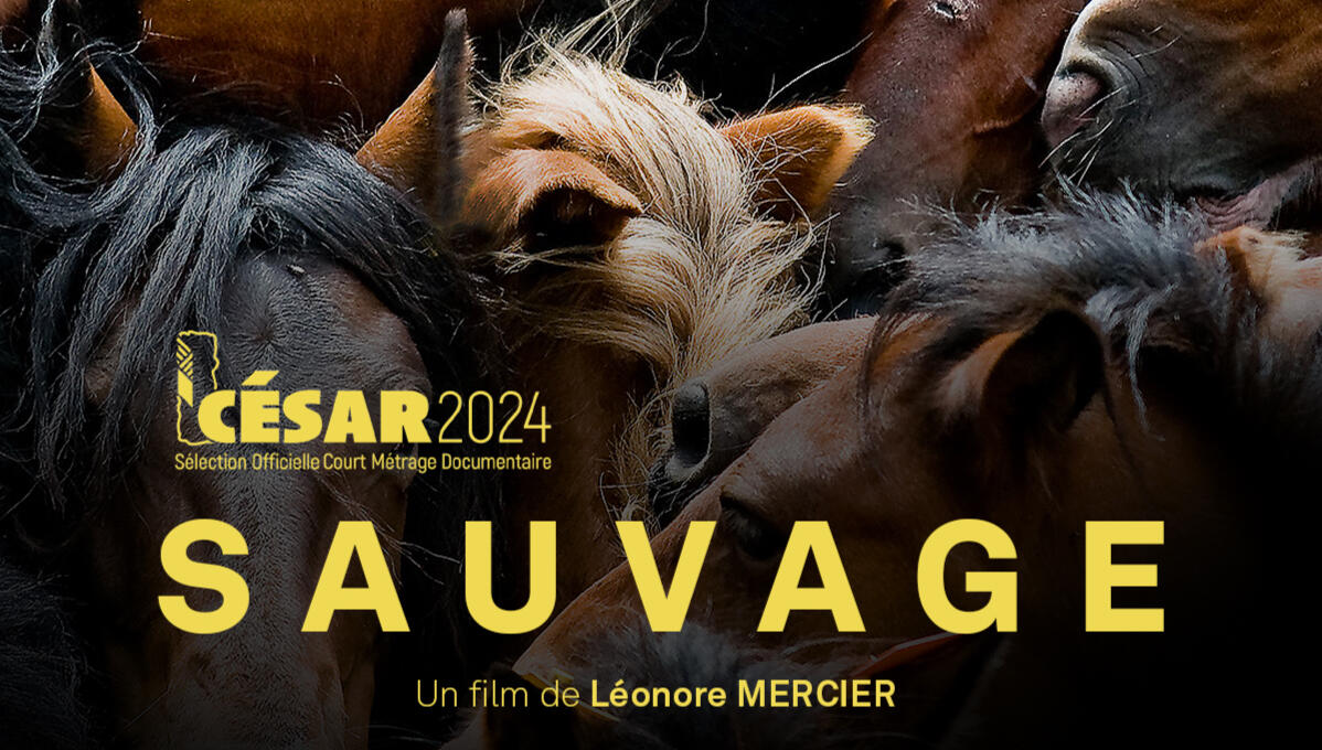 Sauvage by Léonore Mercier (2019)